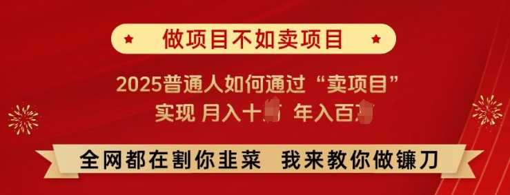必看!做项目不如卖项目，2025普通人如何通过“卖项目”实现月入十个，年入百个【揭秘】-默默网创