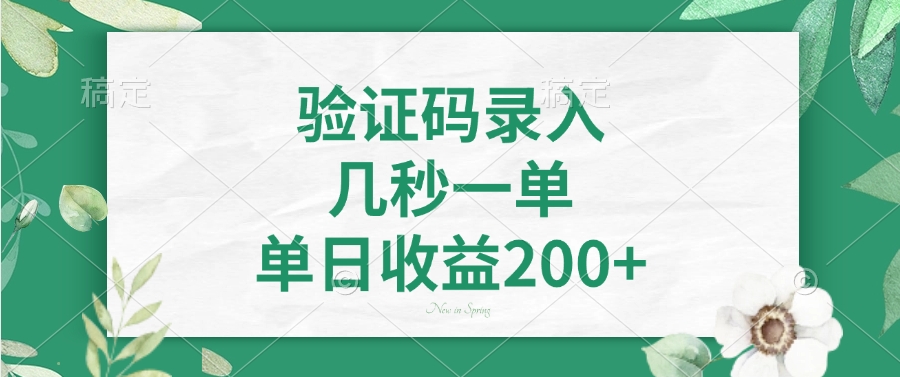 （14221期）验证码录入，几秒一单，单日收益200+-默默网创