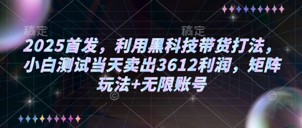 2025首发,利用黑科技带货打法,小白测试当天卖出3612利润,矩阵玩法+无限账号【揭秘】-默默网创