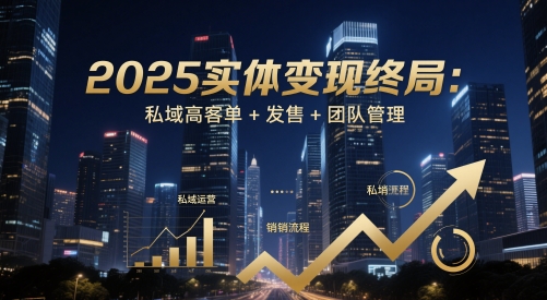2025实体变现终局：私域高客单+发售+团队管理-默默网创