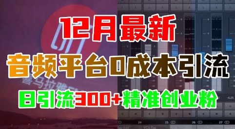 12月最新：音频平台0成本引流，日引流300+精准创业粉-默默网创