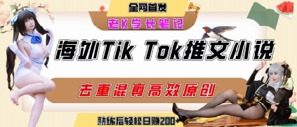 海外tiktok小说推文暴力项目，高停留率，高转化率，上手后一天搞顿饭钱不是问题-默默网创
