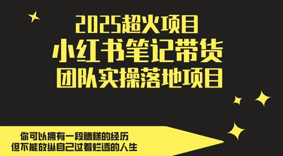 2025超火项目，副业最佳选择，小红书笔记带货团队实操落地项目，，轻松日入5张-默默网创