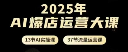 2025年AI爆店运营大课，13节AI实操课+37节流量运营课-默默网创