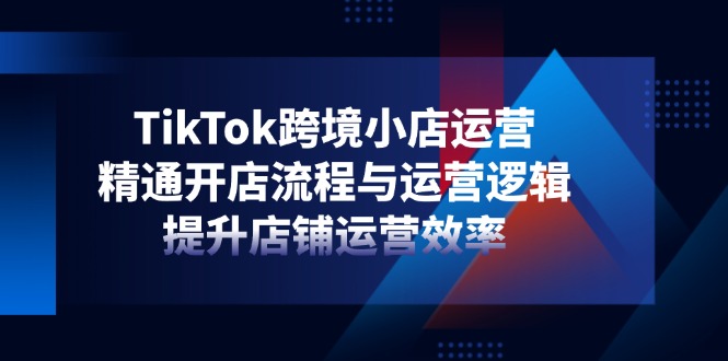 （14369期）TikTok跨境小店运营，精通开店流程与运营逻辑，提升店铺运营效率-默默网创