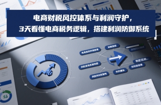 电商财税风控体系与利润守护，3天看懂电商税务逻辑，搭建利润防御系统-默默网创