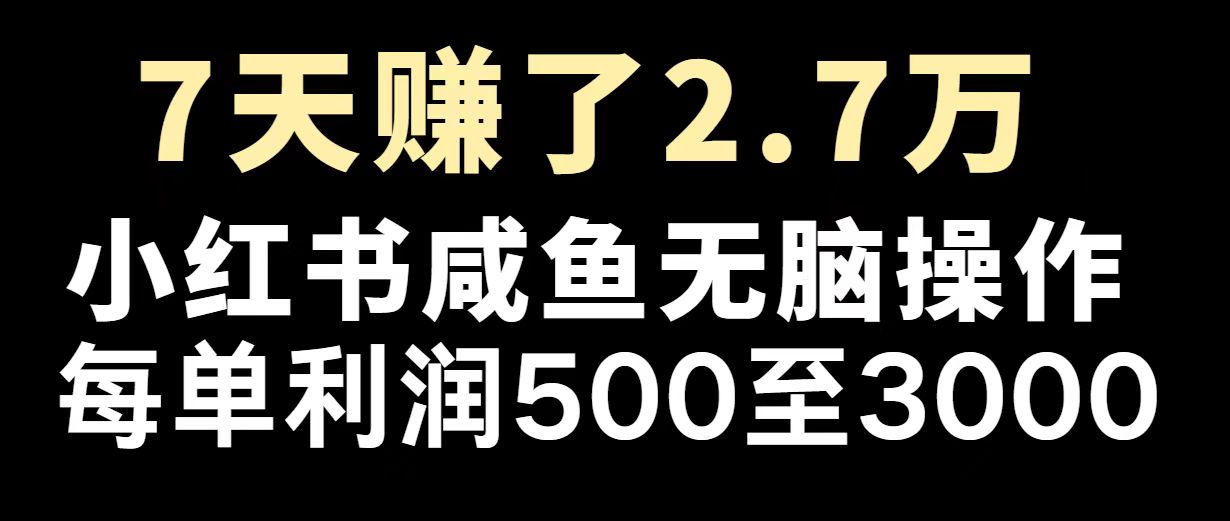 （14183期）最赚钱项目之一，2025爆火，逆风翻盘！-默默网创