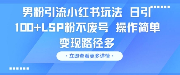 男粉引流小红书玩法，日引100+LSP粉不废号，操作简单，变现路径多-默默网创