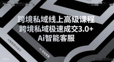跨境私域线上高级课程，跨境私域极速成交3.0+Ai智能客服-默默网创