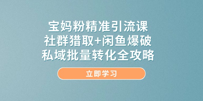 （14820期）宝妈粉精准引流课，社群猎取+闲鱼爆破，私域批量转化全攻略-默默网创