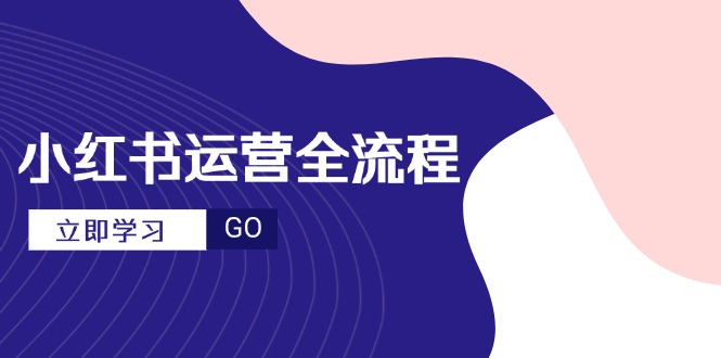 （14861期）小红书运营全流程，爆款选题文案，视频制作技巧，进阶达人宝典-默默网创