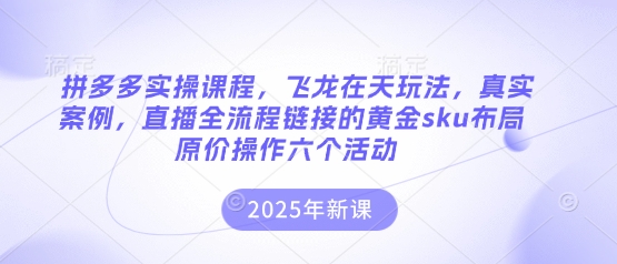 拼多多实操课程，飞龙在天玩法，真实案例，直播全流程链接的黄金sku布局原价操作六个活动-默默网创