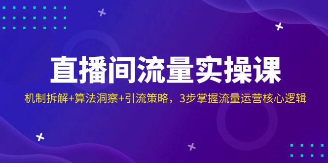 （14122期）直播间流量实操课：机制拆解+算法洞察+引流策略，3步掌握流量运营核心逻辑-默默网创