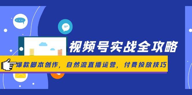 （14925期）视频号实战全攻略，爆款脚本创作，自然流直播运营，付费投放技巧-默默网创