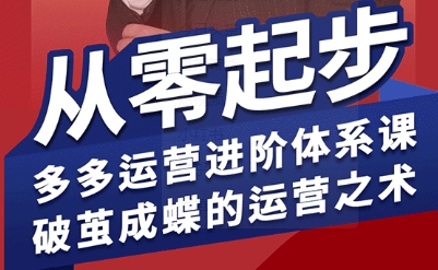 拼多多运营进阶系统课，从零起步，多多运营进阶体系课，破茧成蝶的运营之术（更新26年4月）-默默网创