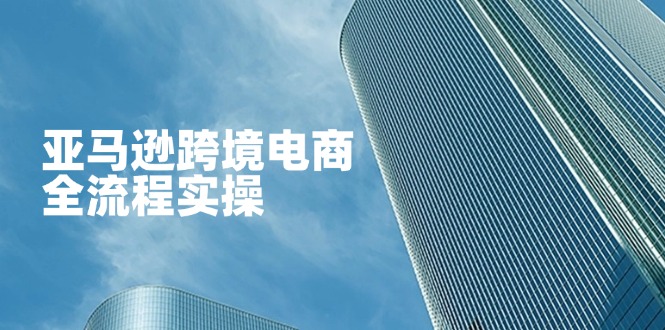 （14252期）亚马逊跨境电商全流程实操，教你从零开始，掌握店铺运营与广告技巧-默默网创