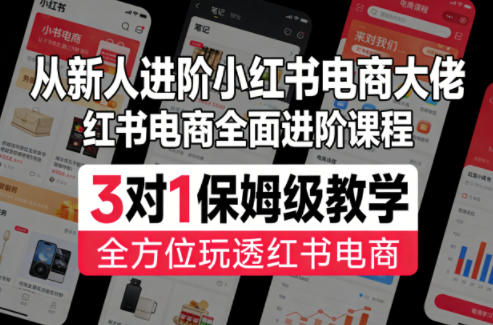 从新人进阶小红书电商大佬，红书电商全面进阶课程，3对1保姆级教学，全方位玩透红书电商-默默网创