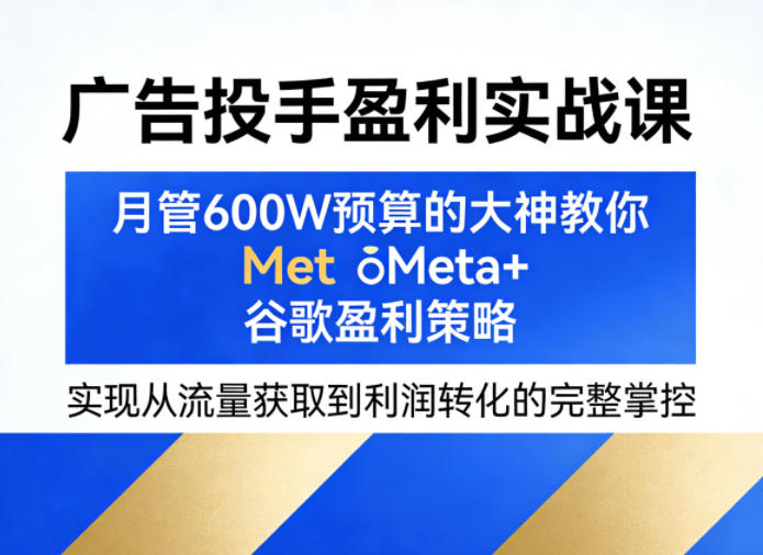 广告投手盈利实战课，月管600W预算的大神教你Meta+谷歌盈利策略，实现从流量获取到利润转化的完整掌控-默默网创