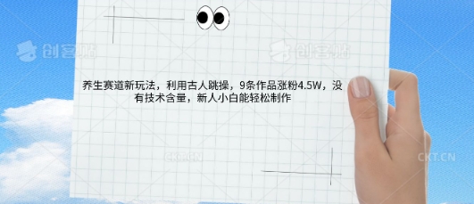 AI养生赛道新玩法，10条作品涨粉5.2W，操作简单，新人小白能轻松制作-默默网创