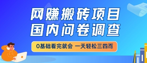 网创搬砖项目，国内问卷调查，小白轻松上手，一天三四张的也不难，干就完了【揭秘】-默默网创