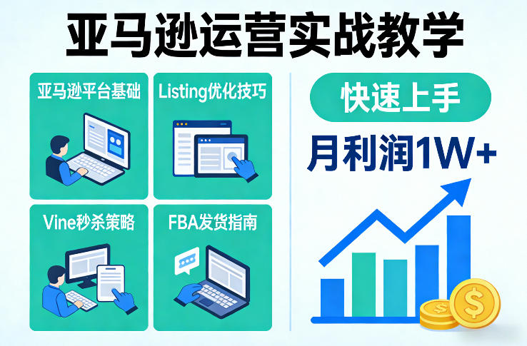 亚马逊运营实战教学，亚马逊平台+Listing优化+Vine秒杀+FBA发货等，快速上手，实现店铺月利润1W-默默网创