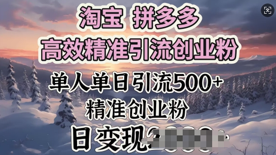 淘宝拼多多高效精准引流创业粉，单人单日引流500+创业粉，日变现多张-默默网创