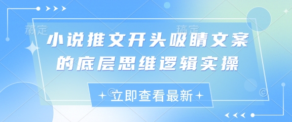 小说推文开头吸睛文案的底层思维逻辑实操-默默网创