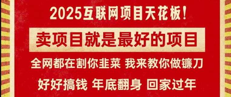卖项目就是最好的项目，2025年互联网项目天花板-默默网创