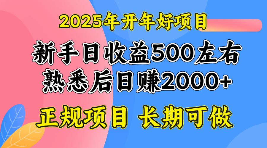（14076期）2025开年好项目，单号日收益2000左右-默默网创