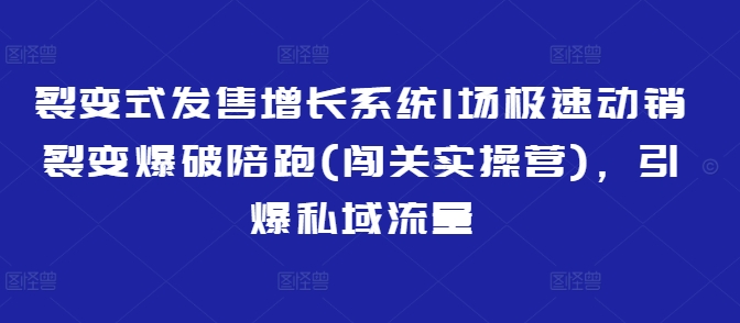 裂变式发售增长系统1场极速动销裂变爆破陪跑(闯关实操营)，引爆私域流量-默默网创