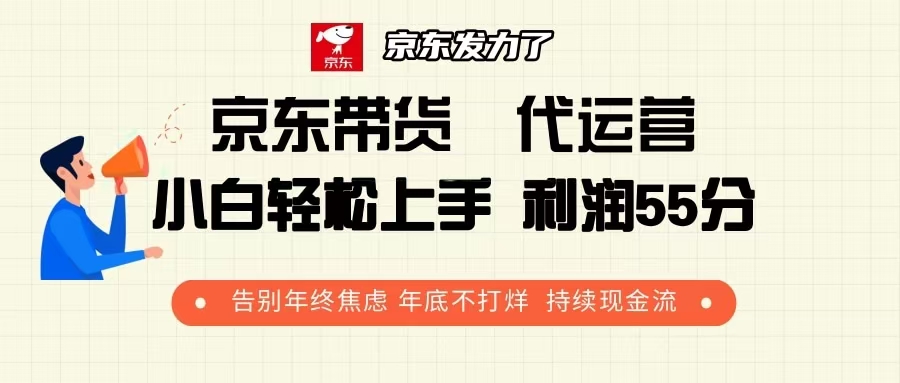 （13833期）京东带货 代运营 利润55分 告别年终焦虑 年底不打烊 持续现金流-默默网创