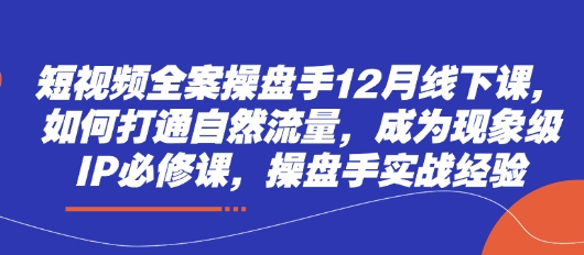短视频全案操盘手12月线下课，如何打通自然流量，成为现象级IP必修课，操盘手实战经验-默默网创