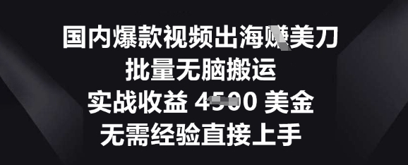 国内爆款视频出海挣美刀，批量无脑搬运，实战收益4.5k，无需经验直接上手-默默网创