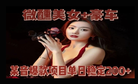 微醺美女+豪车，抖音爆款项目单日稳定2张+-默默网创