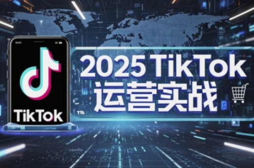 2025TikTok电商运营，掌握TikTok店铺运营核心技巧，实现低成本高转化-默默网创