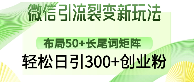 微信引流裂变新玩法：布局50+长尾词矩阵，轻松日引300+创业粉-默默网创