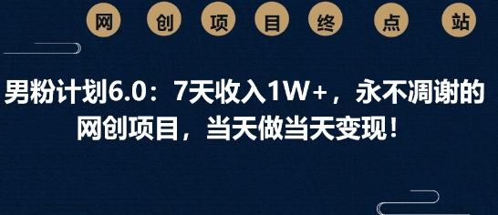 男粉计划6.0：7天收入1W+，永不凋谢的网创项目，当天做当天变现-默默网创