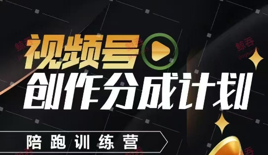 视频号创作分成计划陪跑训练营，手把手教会你如何制作视频，细水长流型项目-默默网创