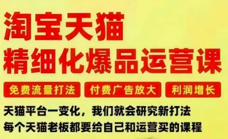 淘宝天猫精细化爆品运营课，免费流量打法-付费广告放大-利润增长-三大核心痛点，一次全部解决-默默网创