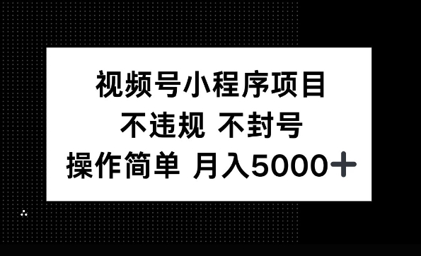 视频号小程序项目，不违规不封号，操作简单 月入5000+-默默网创