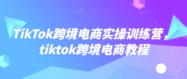 TikTok跨境电商实操训练营，tiktok跨境电商教程-默默网创