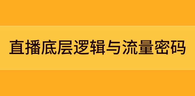 （14695期）直播底层逻辑与流量密码：定位模型+案例拆解，急速流承接与数据优化全攻略-默默网创