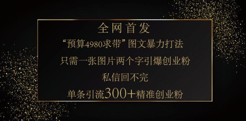 小红书神奇图片引流法，只需一张图，就能单条笔记凭借此方法，轻松引流 300 + 精准创业粉-默默网创