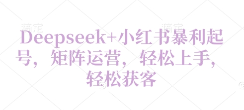 Deepseek+小红书暴利起号，矩阵运营，轻松上手，轻松获客-默默网创