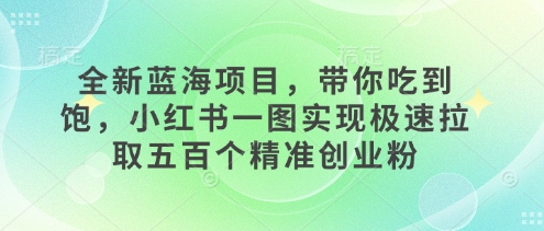 全新蓝海项目，带你吃到饱，小红书一图实现极速拉取五百个精准创业粉-默默网创