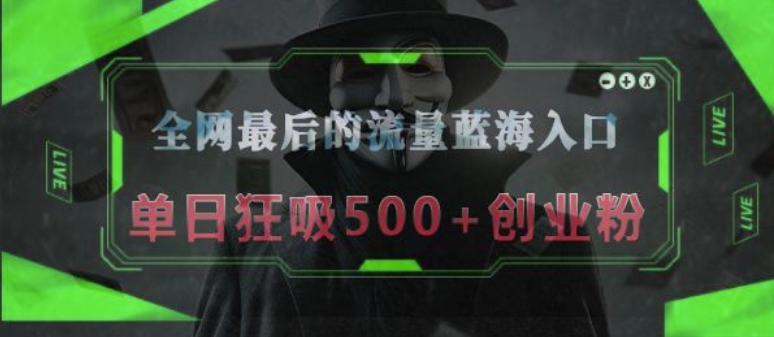 全网最后的流量蓝海入口，半小时引流50+创业粉，单日狂吸500+创业粉-默默网创