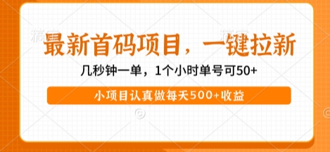 最新首码项目，操作最简单，收益高，一键拉新，1个小时单号可50+，小项目认真做每天5张+收益【揭秘】-默默网创