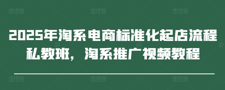 2025年淘系电商标准化起店流程私教班，淘系推广视频教程-默默网创
