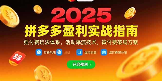 （15357期）拼多多盈利实战指南，强付费玩法，活动爆流技术，微付费破局方案(更新7月)-默默网创