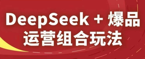 DeepSeek+爆品运营组合玩法，2025淘系精品课-默默网创